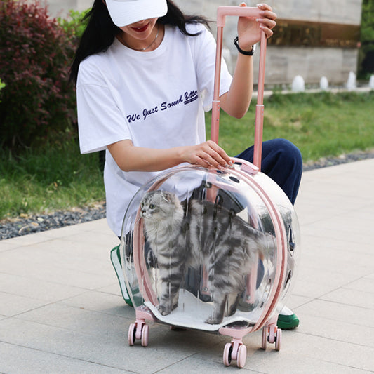 Portable Transparent Trolley Case Cat Bag