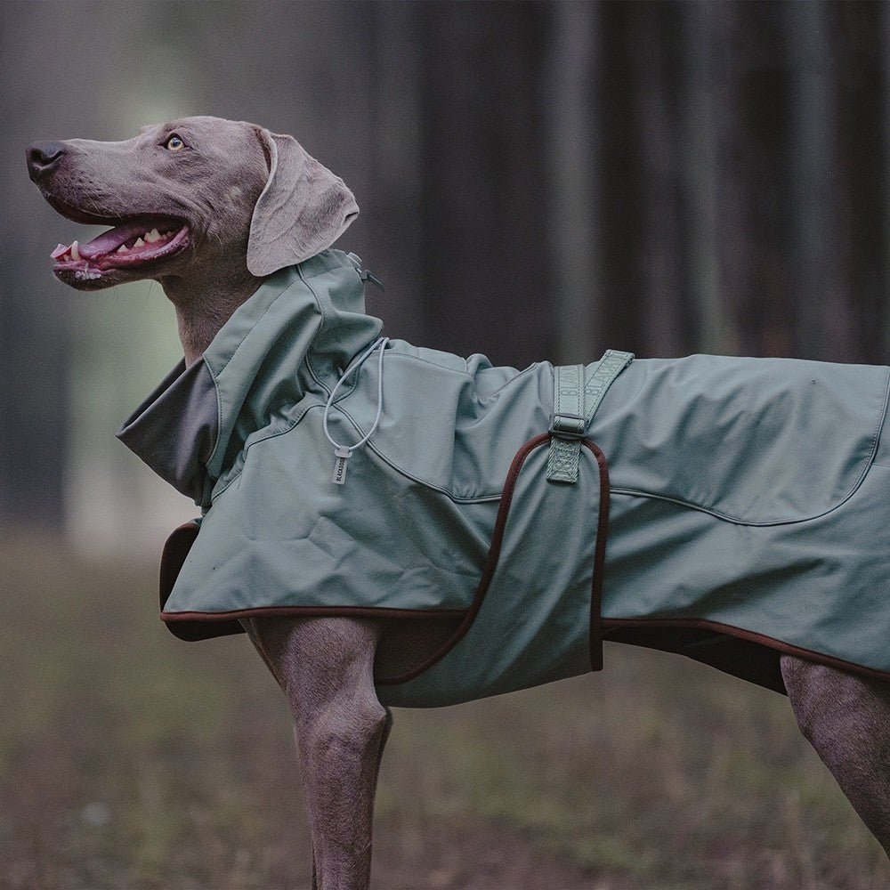 Outdoor Soft Shell Waterproof Windproof Warm Dog Soft Shell Jacket