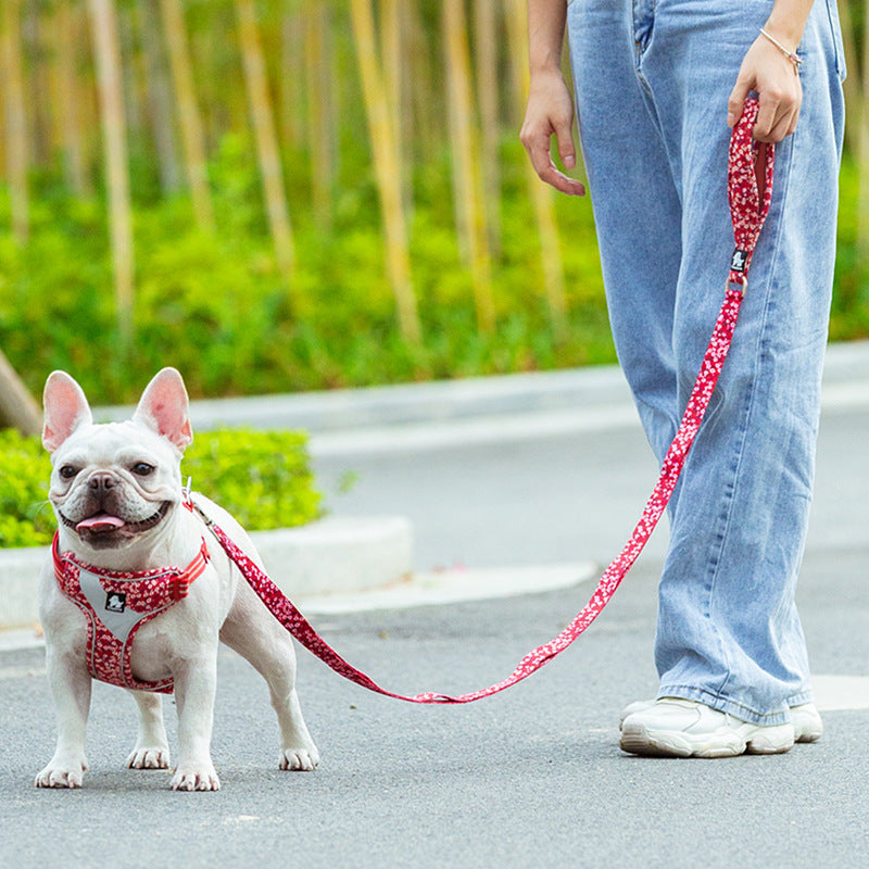 Pet Dog Pulls Rope And Chain Out