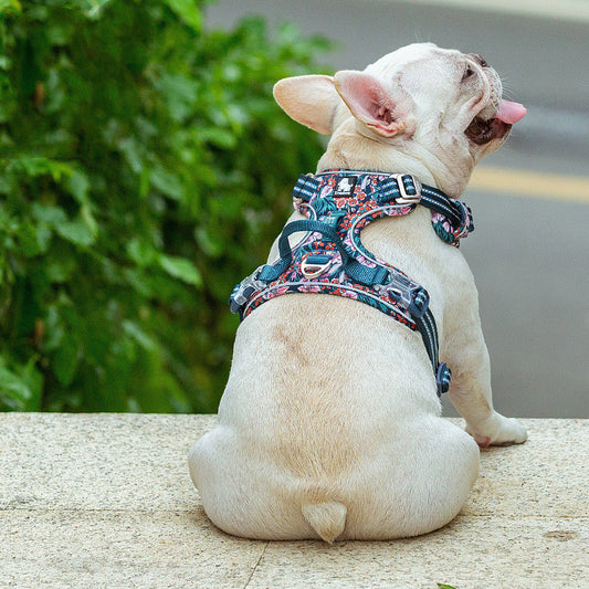 The New Dog Leash Vest Type Walking Chain