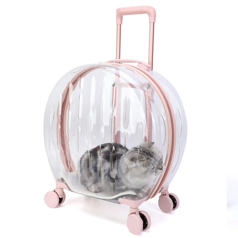 Portable Transparent Trolley Case Cat Bag