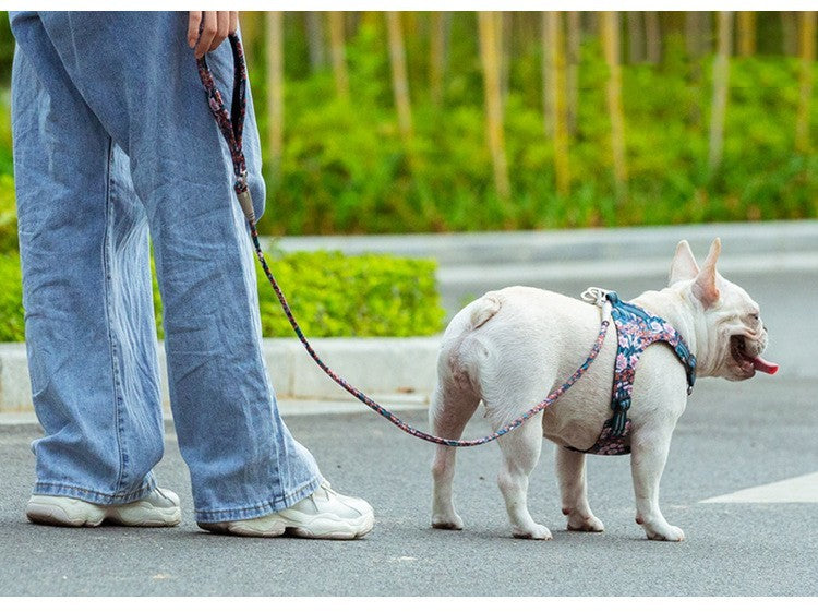 Outdoor Pet Dog Floral Round Hand Holding Rope