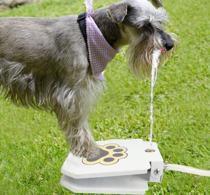 Outdoor Dog Pet Water Fountain