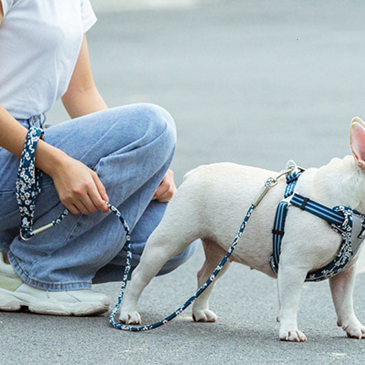 Outdoor Pet Dog Floral Round Hand Holding Rope